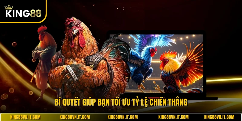 Bí quyết giúp bạn tối ưu tỷ lệ chiến thắng