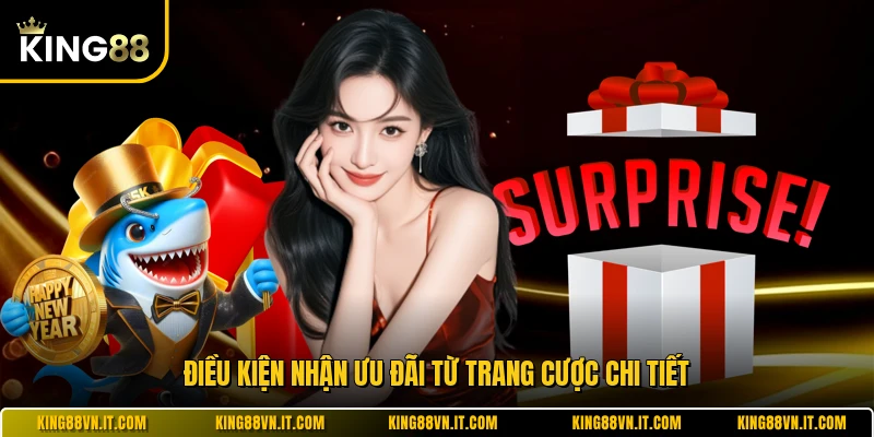 Điều kiện nhận ưu đãi từ trang cược chi tiết