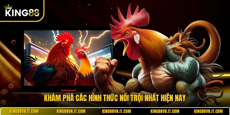 Khám phá sàn đấu Thomo với trải nghiệm hấp dẫn